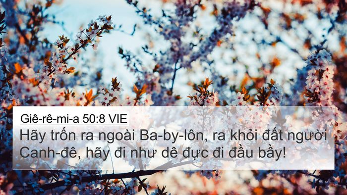 Giê-rê-mi-a 50:8 VIE Bible Verse Image