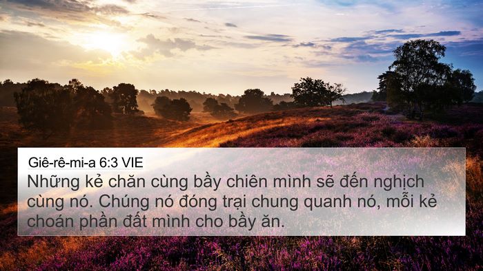 Giê-rê-mi-a 6:3 VIE Bible Verse Image