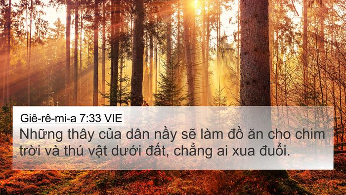 Giê-rê-mi-a 7:33 VIE Bible Verse Image