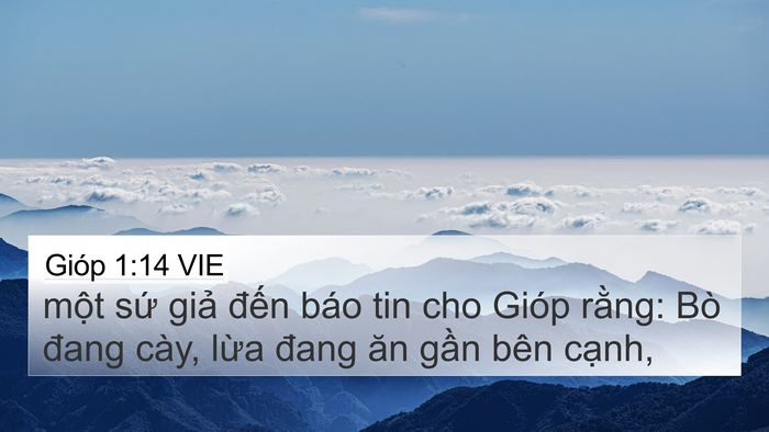 Gióp 1:14 VIE Bible Verse Image