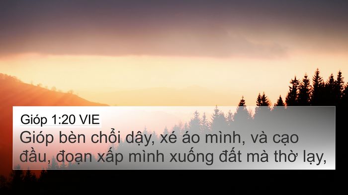 Gióp 1:20 VIE Bible Verse Image