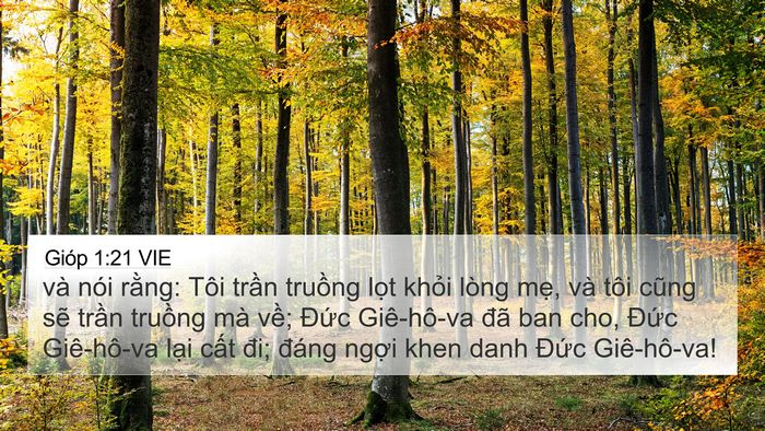 Gióp 1:21 VIE Bible Verse Image