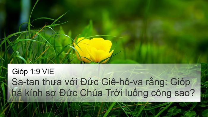 Gióp 1:9 VIE Bible Verse Image