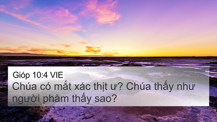 Gióp 10:4 VIE 4K Wallpaper - Chúa có mắt xác thịt ư? Chúa thấy như - 4K Wallpaper Bible Verse