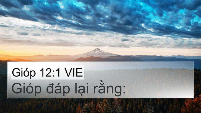 Gióp 12:1 VIE 4K Wallpaper - Gióp đáp lại - 4K Wallpaper Bible Verse
