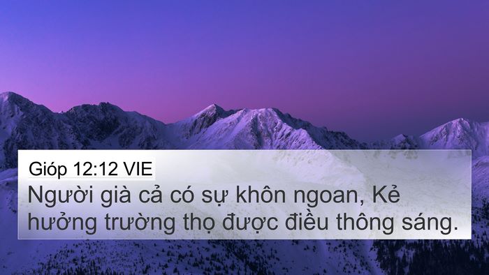 Gióp 12:12 VIE Bible Verse Image
