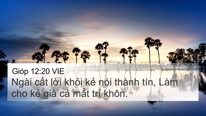 Gióp 12:20 VIE Bible Verse Image