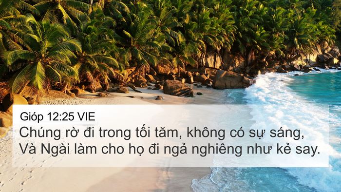 Gióp 12:25 VIE Bible Verse Image