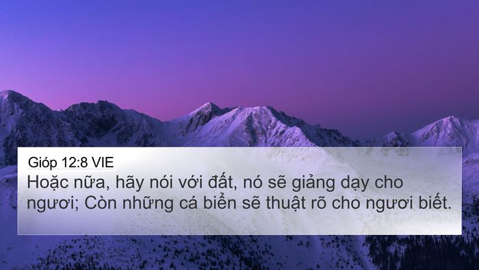 Gióp 12:8 VIE Bible Verse Image