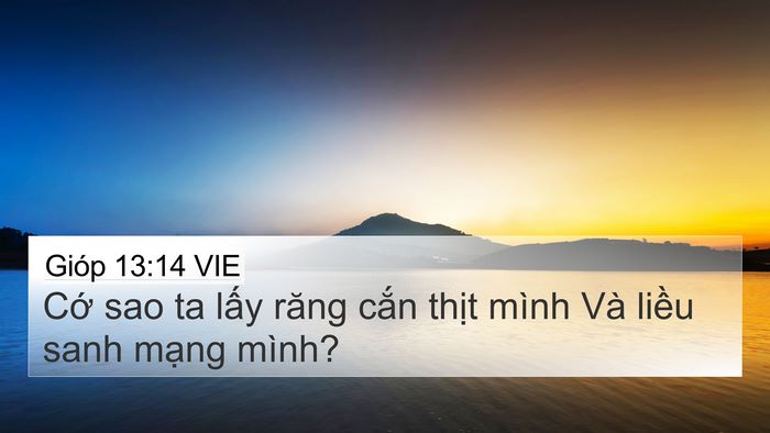 Gióp 13:14 VIE Bible Verse Image