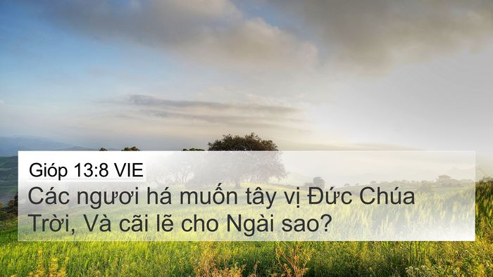 Gióp 13:8 VIE 4K Wallpaper - Các ngươi há muốn tây vị Đức Chúa - 4K Wallpaper Bible Verse