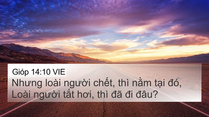 Gióp 14:10 VIE Bible Verse Image