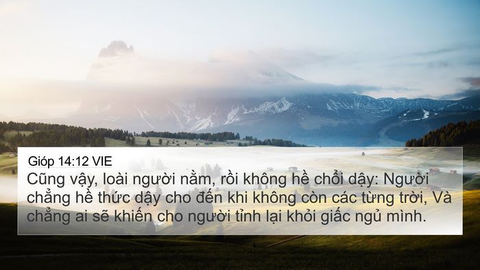 Gióp 14:12 VIE Bible Verse Image