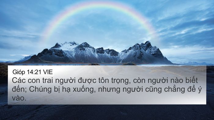 Gióp 14:21 VIE Bible Verse Image