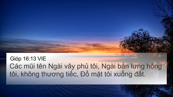 Gióp 16:13 VIE Bible Verse Image