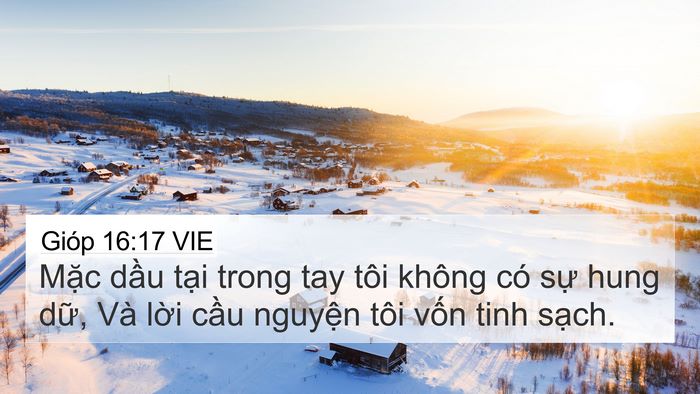 Gióp 16:17 VIE Bible Verse Image