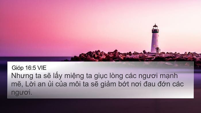 Gióp 16:5 VIE Bible Verse Image