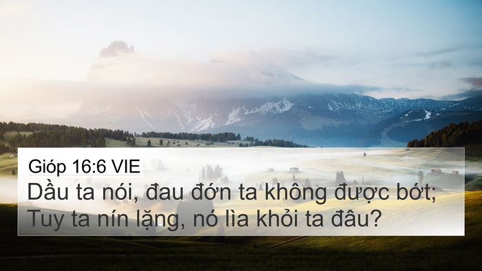 Gióp 16:6 VIE Bible Verse Image
