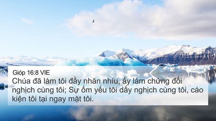 Gióp 16:8 VIE Bible Verse Image