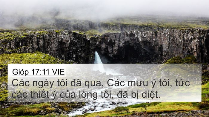 Gióp 17:11 VIE Bible Verse Image