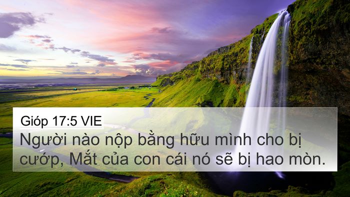 Gióp 17:5 VIE Bible Verse Image