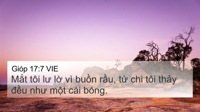 Gióp 17:7 VIE Bible Verse Image