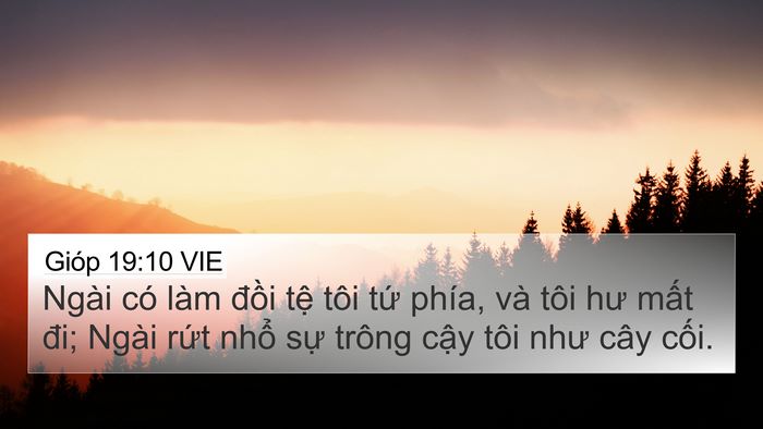 Gióp 19:10 VIE Bible Verse Image