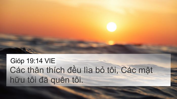 Gióp 19:14 VIE Bible Verse Image