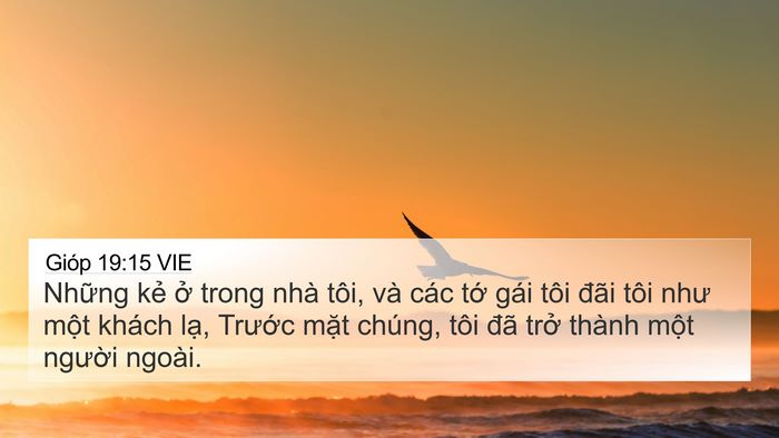 Gióp 19:15 VIE 4K Wallpaper - Những kẻ ở trong nhà tôi, và các tớ - 4K Wallpaper Bible Verse