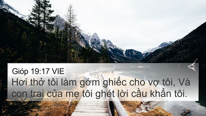 Gióp 19:17 VIE Bible Verse Image
