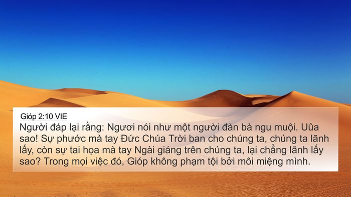 Gióp 2:10 VIE Bible Verse Image
