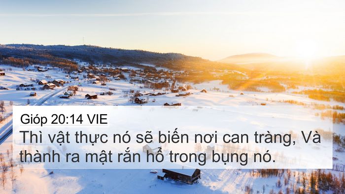 Gióp 20:14 VIE Bible Verse Image