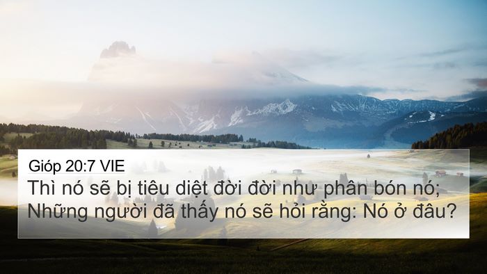 Gióp 20:7 VIE Bible Verse Image
