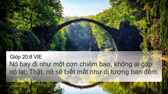 Gióp 20:8 VIE Bible Verse Image