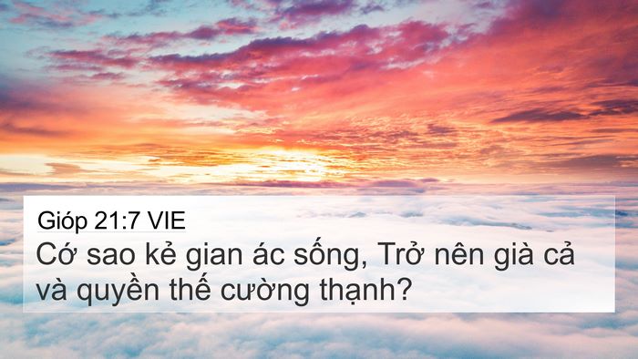 Gióp 21:7 VIE Bible Verse Image