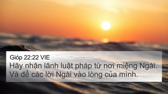 Gióp 22:22 VIE Bible Verse Image