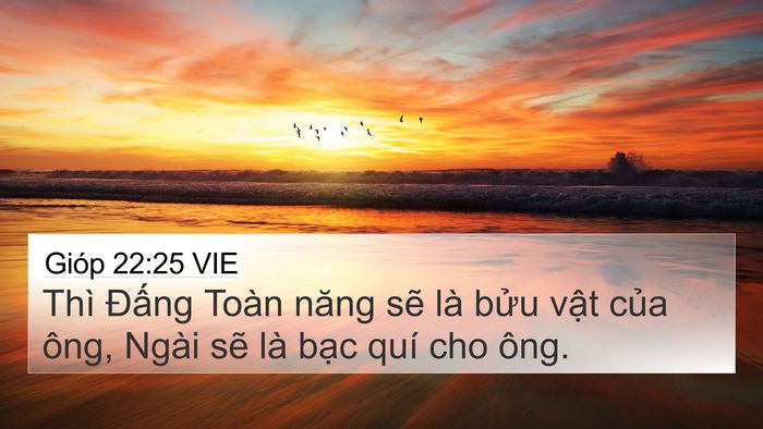 Gióp 22:25 VIE Bible Verse Image