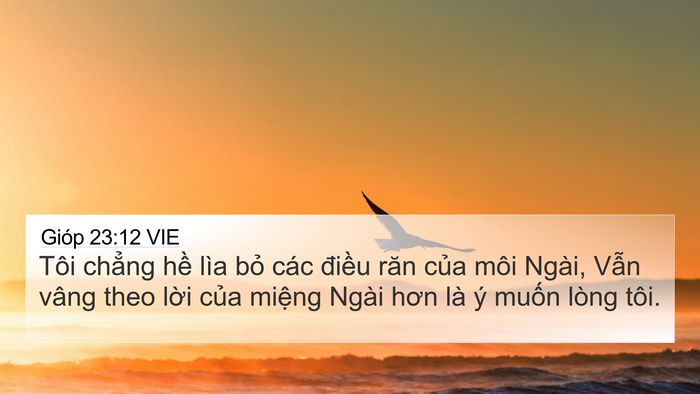 Gióp 23:12 VIE Bible Verse Image