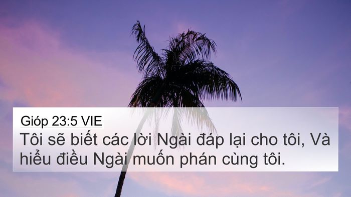 Gióp 23:5 VIE Bible Verse Image