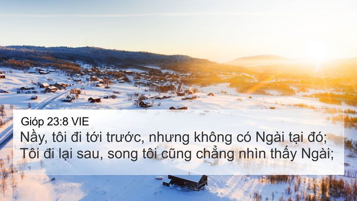 Gióp 23:8 VIE Bible Verse Image