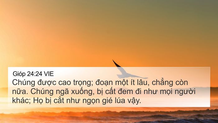 Gióp 24:24 VIE Bible Verse Image