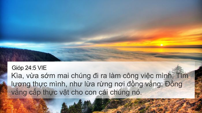 Gióp 24:5 VIE Bible Verse Image