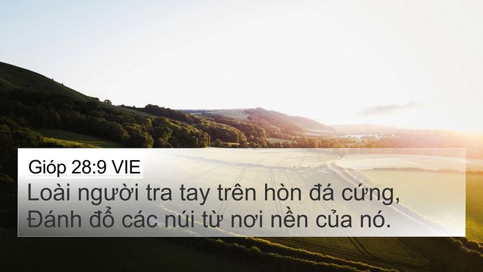Gióp 28:9 VIE 4K Wallpaper - Loài người tra tay trên hòn đá cứng, - 4K Wallpaper Bible Verse