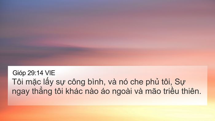 Gióp 29:14 VIE Bible Verse Image