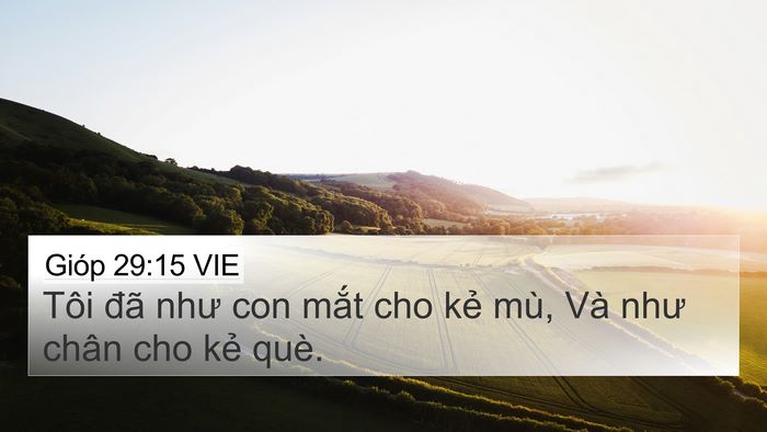 Gióp 29:15 VIE Bible Verse Image
