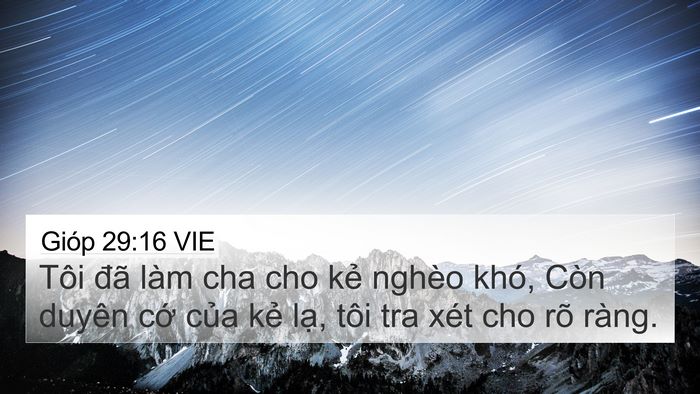 Gióp 29:16 VIE Bible Verse Image