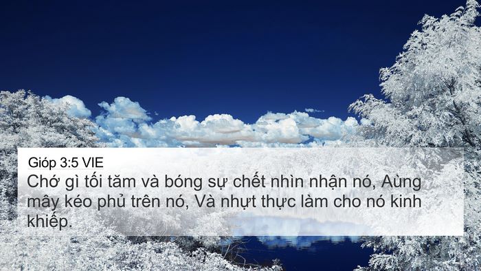Gióp 3:5 VIE Bible Verse Image