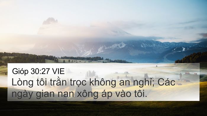 Gióp 30:27 VIE Bible Verse Image