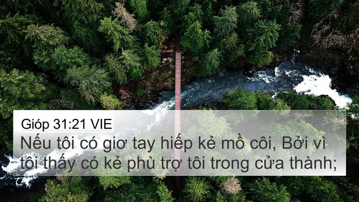 Gióp 31:21 VIE Bible Verse Image