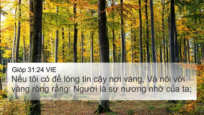 Gióp 31:24 VIE Bible Verse Image
